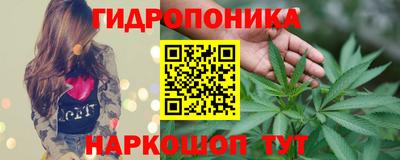 прущая мука Лесосибирск