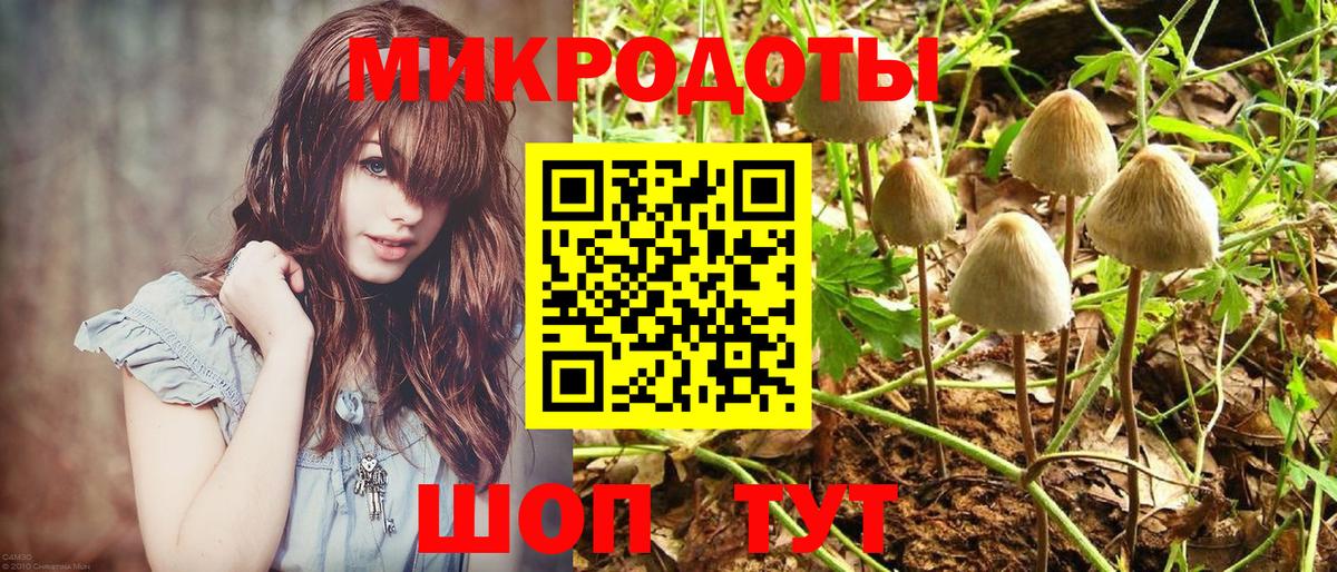 Псилоцибиновые грибы ЛСД Елизово